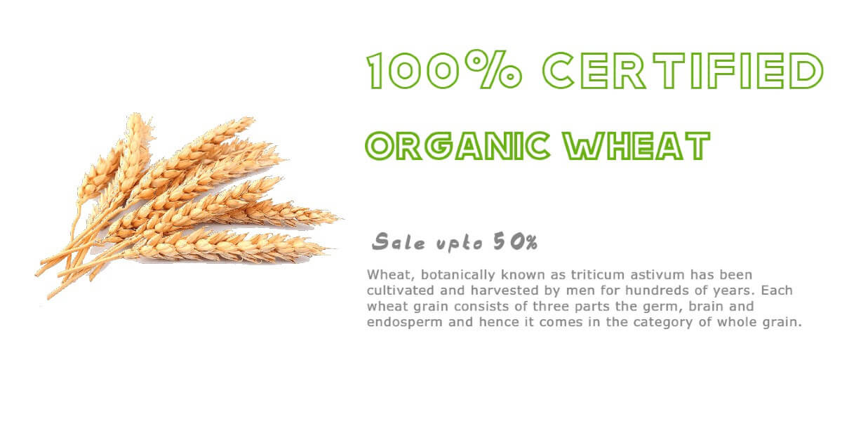 organic wheat