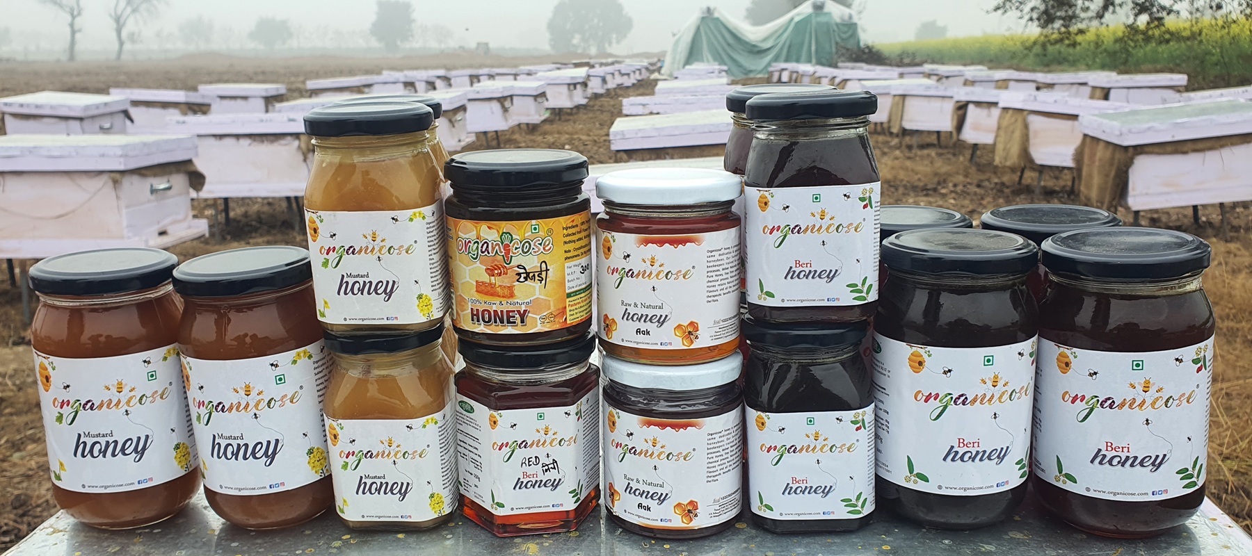Organicose Honey