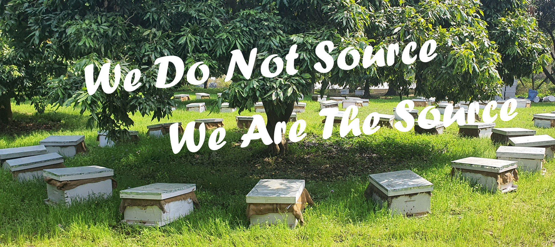 organicose honey bee farm
